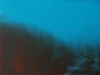 night_stream