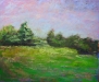 Spring  Hill