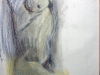 adonis_7_pastel_34wx35h